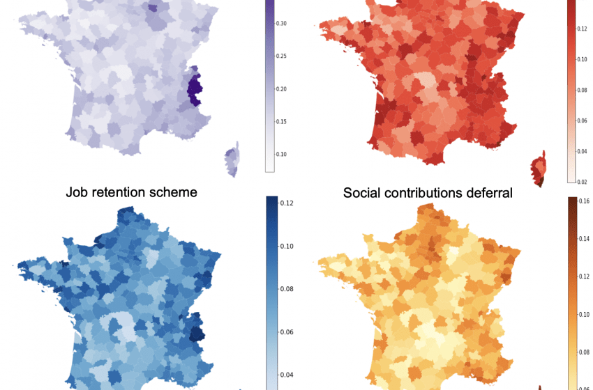  What 3.5 million French firms can tell us about the efficiency of Covid-19 support measures