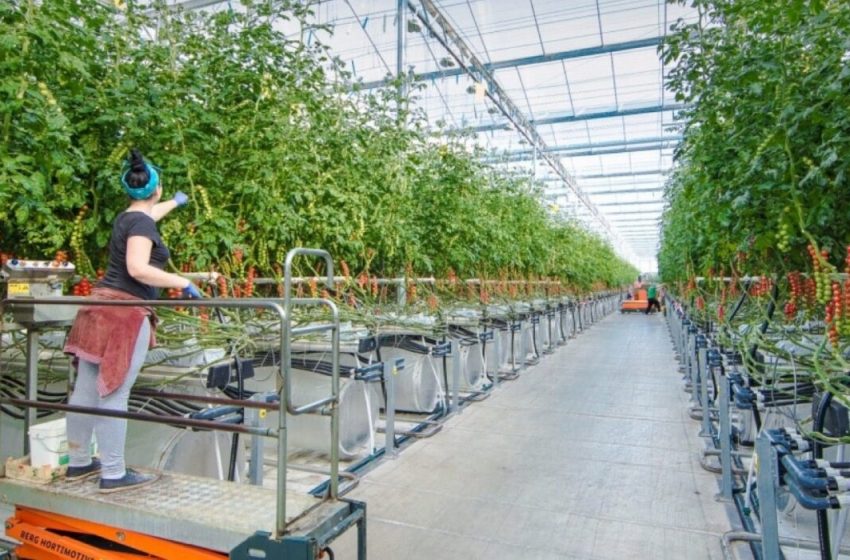  Pure Harvest raise $180.5 million in latest round of funding