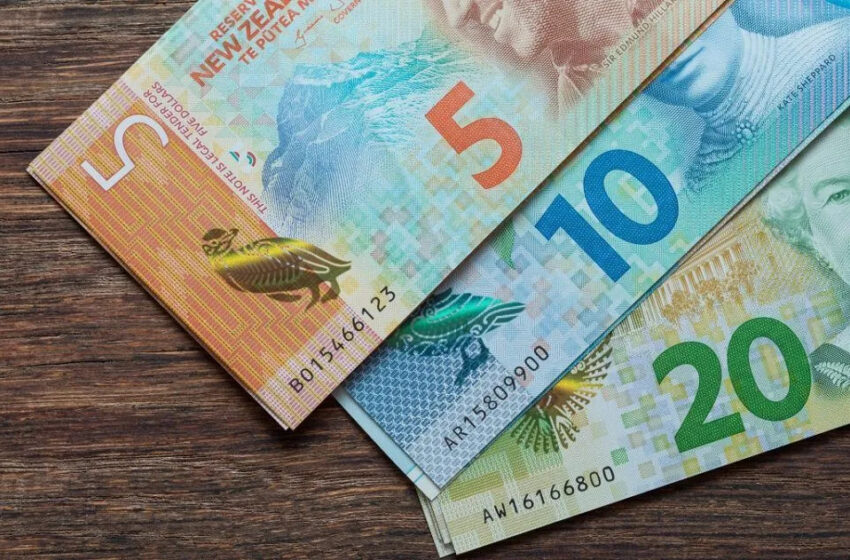  Higher Interest Rates May Weaken NZ Dollar, Says BNP Paribas