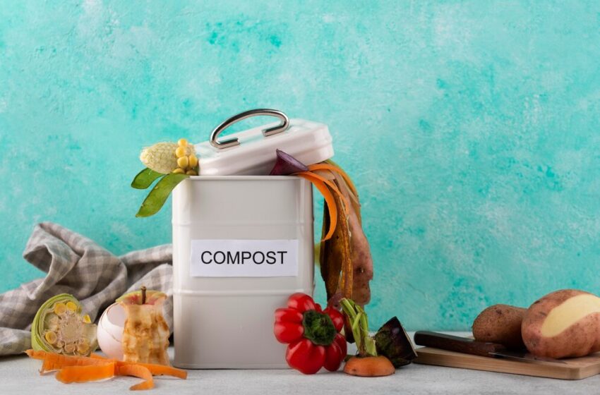  Innovative Strategies for Reducing Food Waste Through Technology