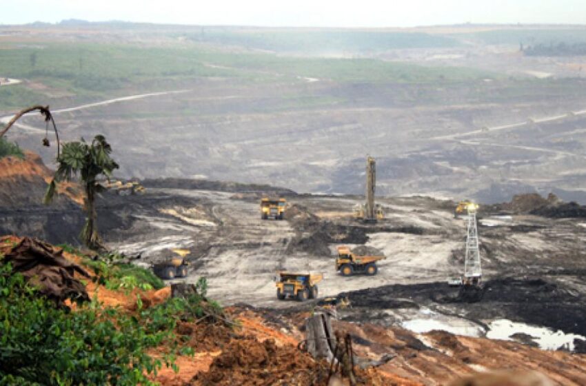  Financing New Coal Projects May Hamper Indonesia’s Decarbonisation Plans