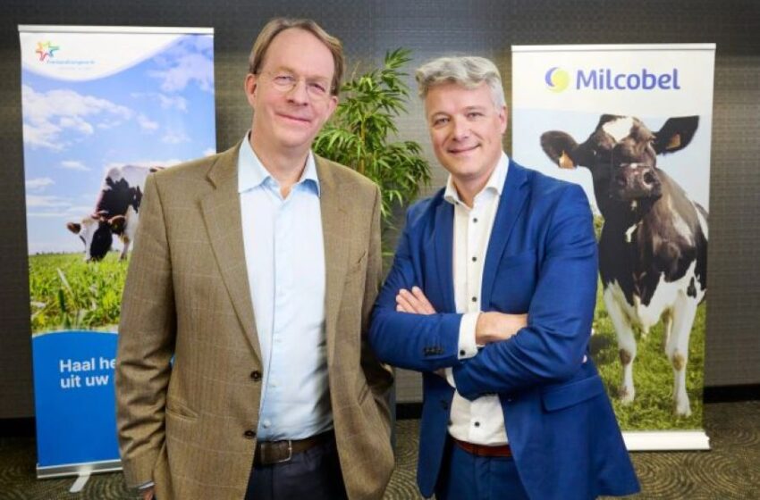  Two Dairy Farms in Western Europe Agree to Merge